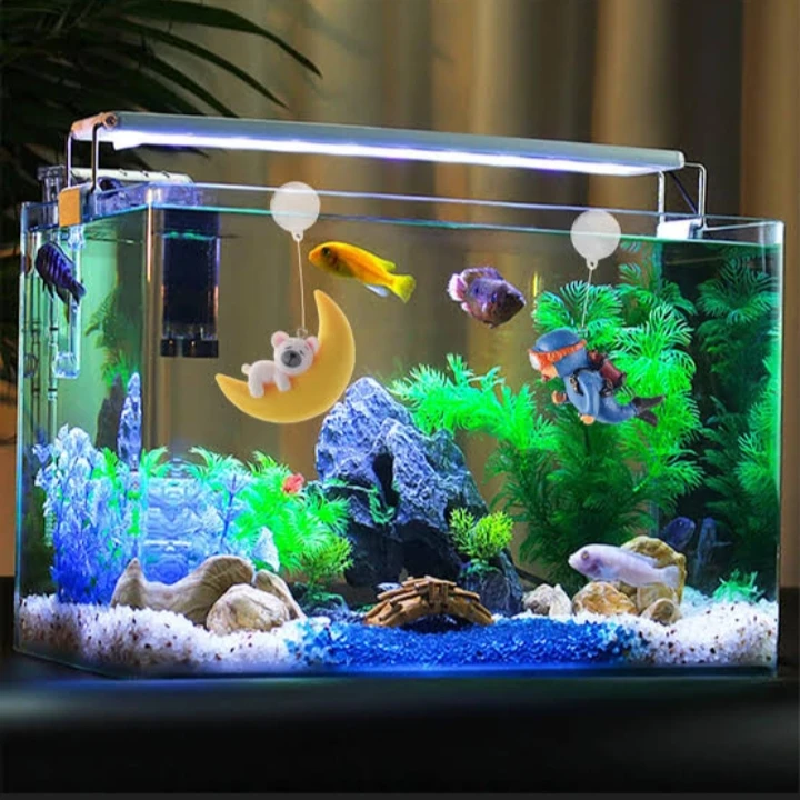 Fish & Accessories